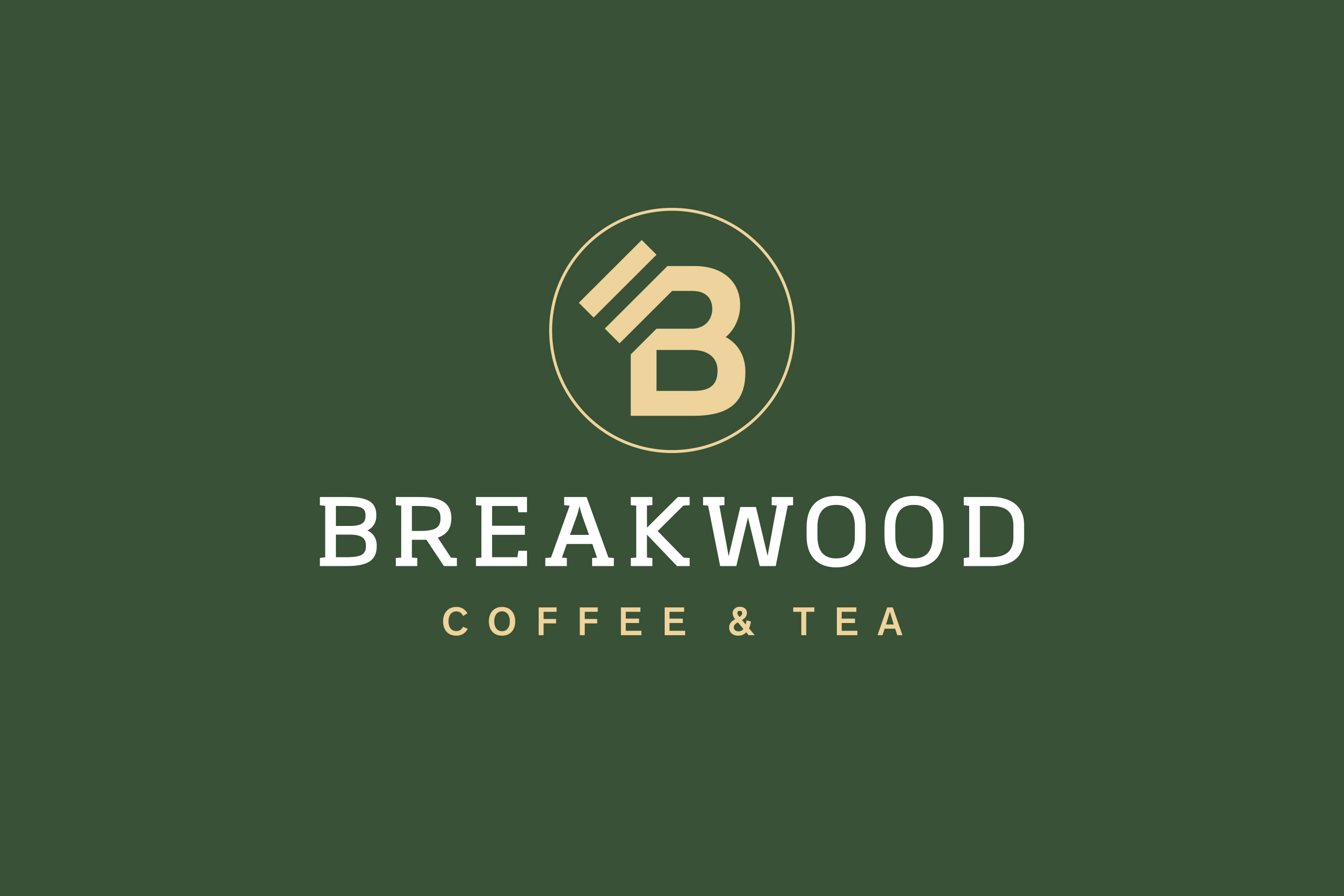 logo BreakWood amstudio